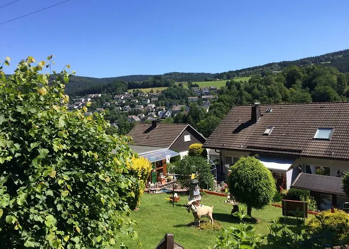 Engelmann Apartman Winterberg